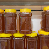 عسل نیم کیلویی طبیعی کوهستان رویال شاهرود Half a kilo of natural honey from Royal Shahroud Mountain
