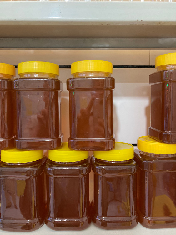 عسل نیم کیلویی طبیعی کوهستان رویال شاهرود Half a kilo of natural honey from Royal Shahroud Mountain